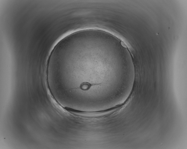 X0000113861534200909241257