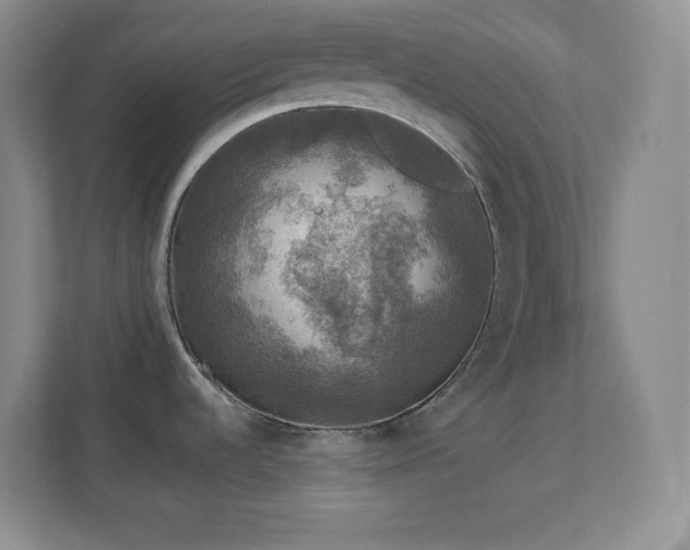 X0000113861536200909241257
