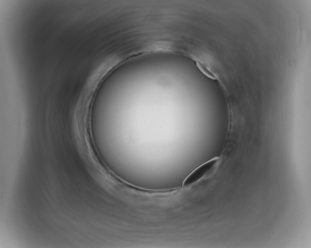 X0000113860001200910011030