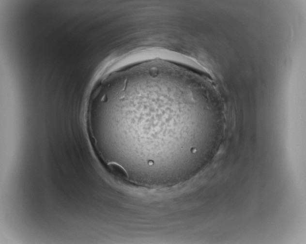 X0000113860003200910011030
