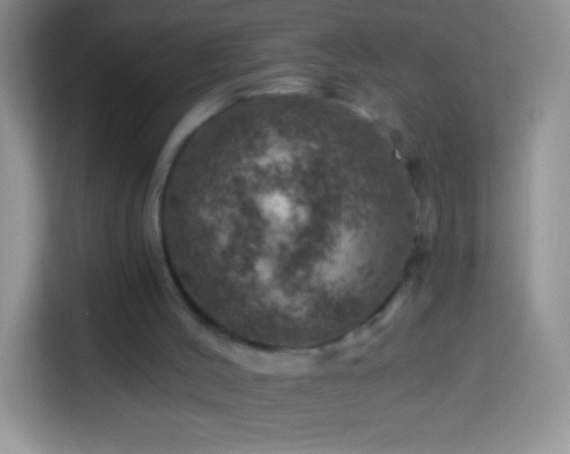 X0000113860004200910011030