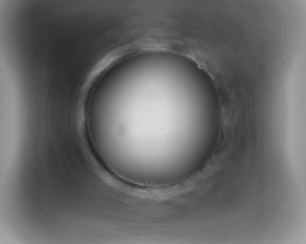 X0000113860005200910011030