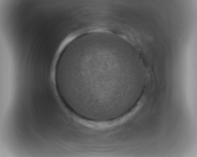 X0000113860006200910011030