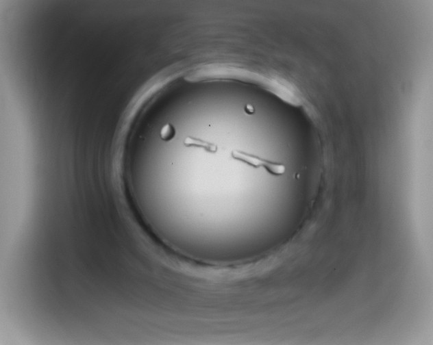 X0000113860007200910011030