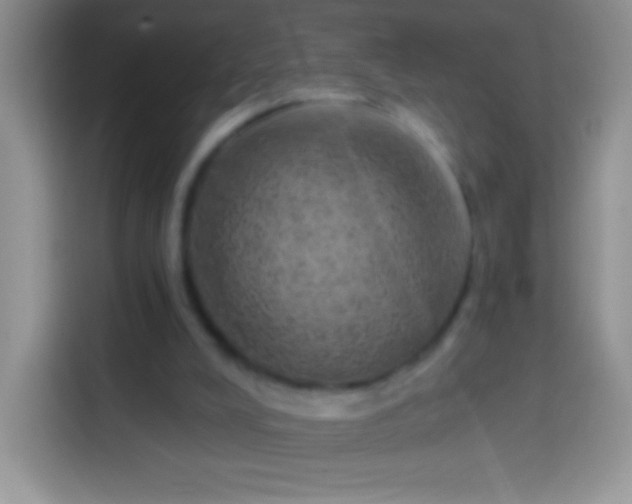 X0000113860008200910011030