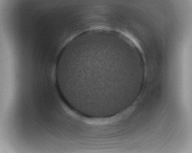 X0000113860009200910011030