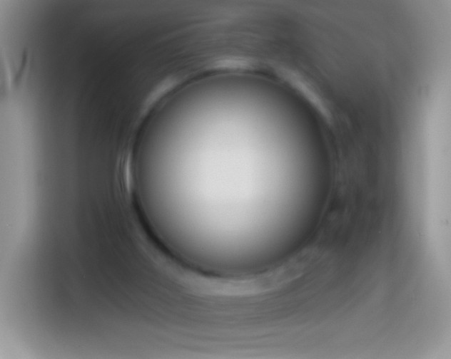 X0000113860011200910011030