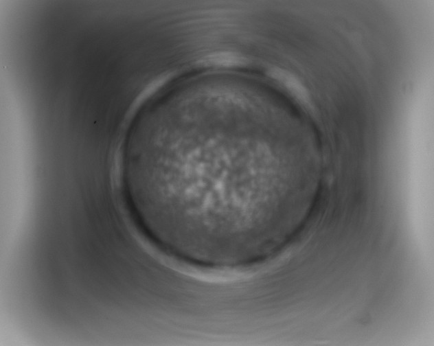 X0000113860012200910011030