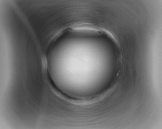 X0000113860013200910011030