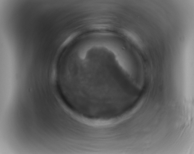 X0000113860016200910011030