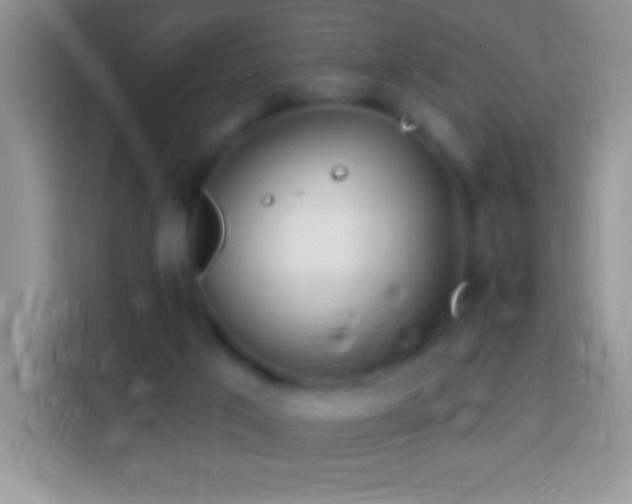 X0000113860017200910011030