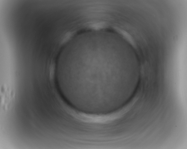 X0000113860018200910011030