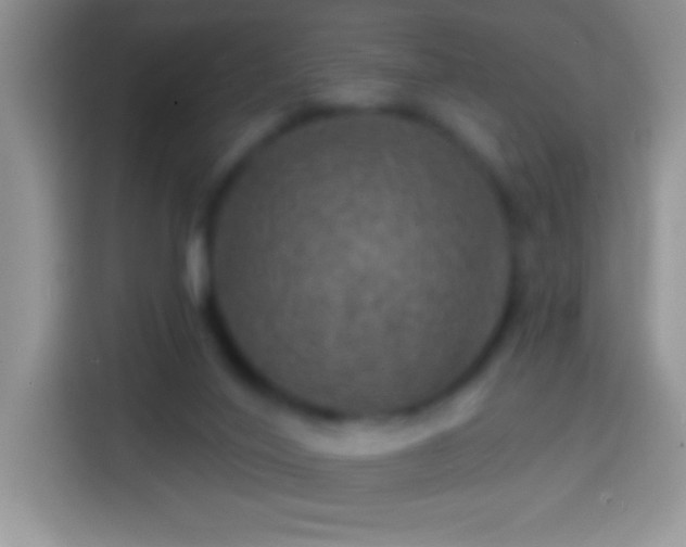 X0000113860020200910011030