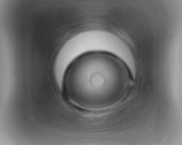 X0000113860021200910011030