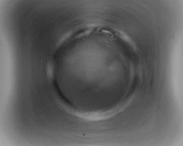 X0000113860023200910011030