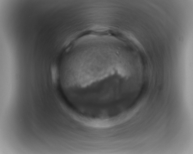 X0000113860024200910011030