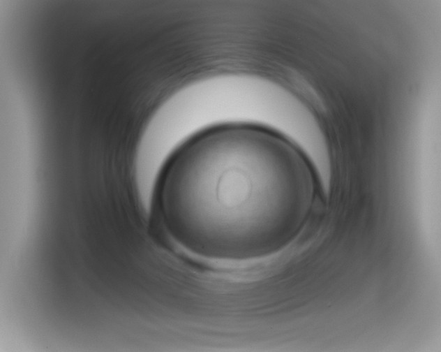 X0000113860025200910011030