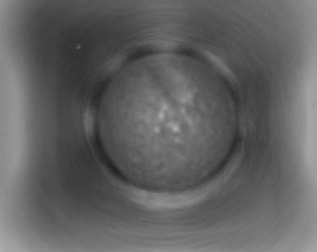 X0000113860026200910011030