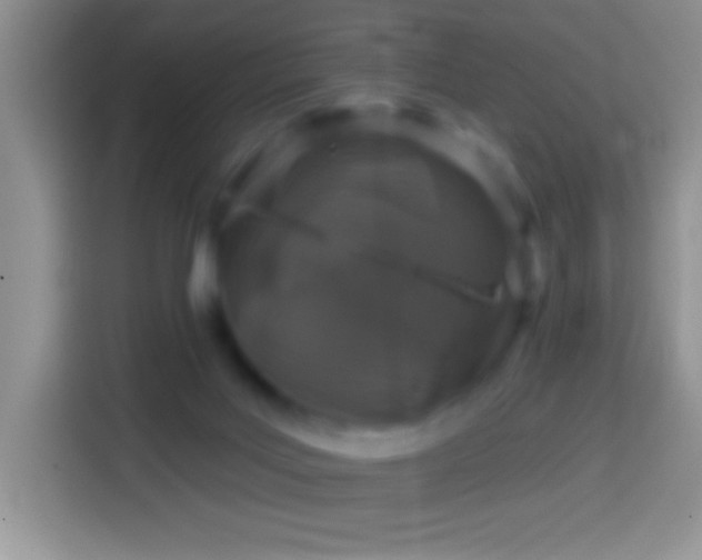 X0000113860027200910011030