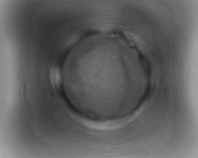 X0000113860028200910011030