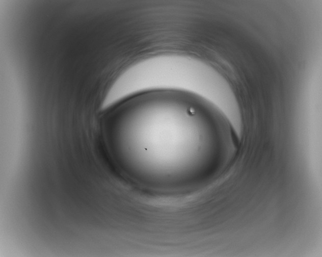 X0000113860029200910011030