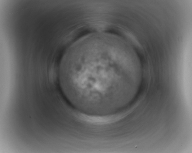 X0000113860030200910011030