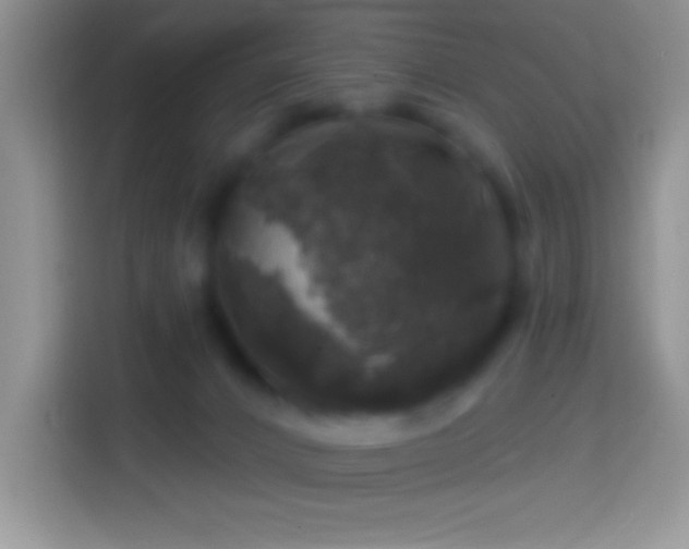 X0000113860032200910011030