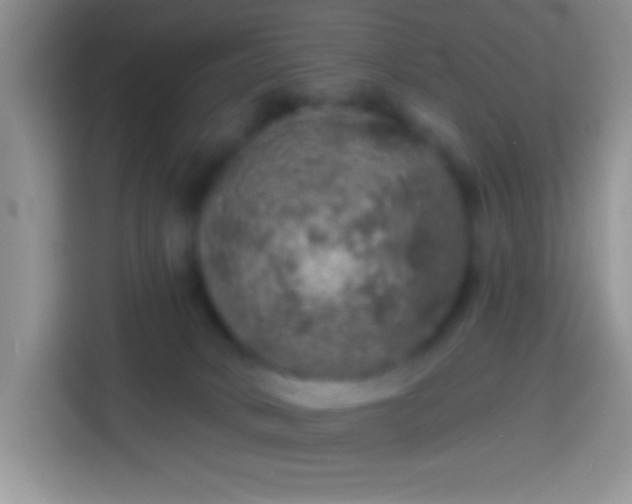 X0000113860034200910011030