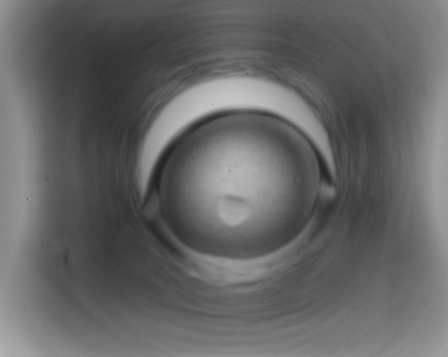 X0000113860035200910011030