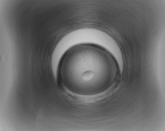 X0000113860037200910011030