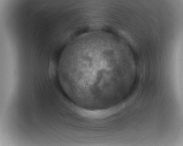 X0000113860038200910011030