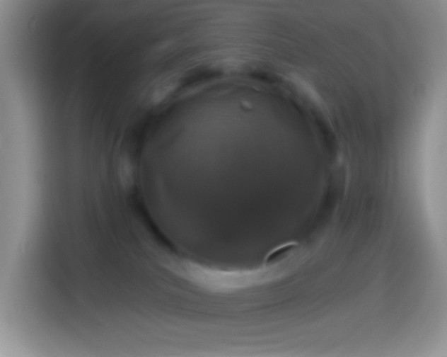 X0000113860039200910011030