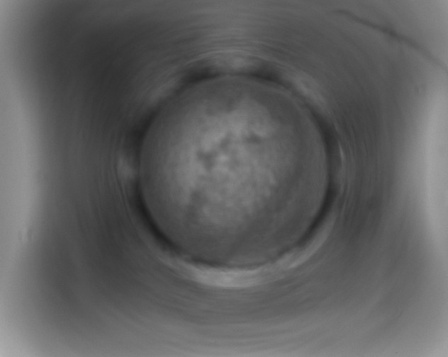 X0000113860040200910011030