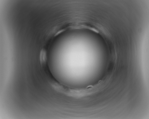 X0000113860041200910011030