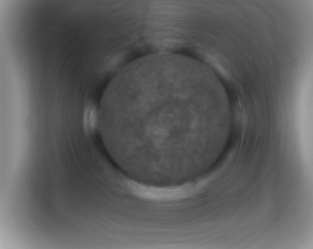X0000113860042200910011030