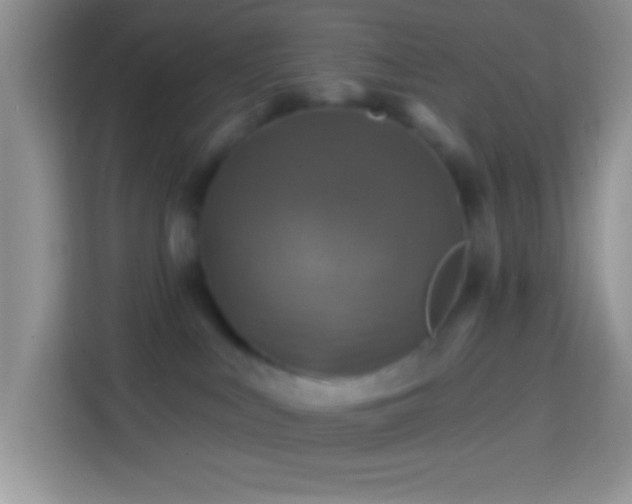 X0000113860043200910011030
