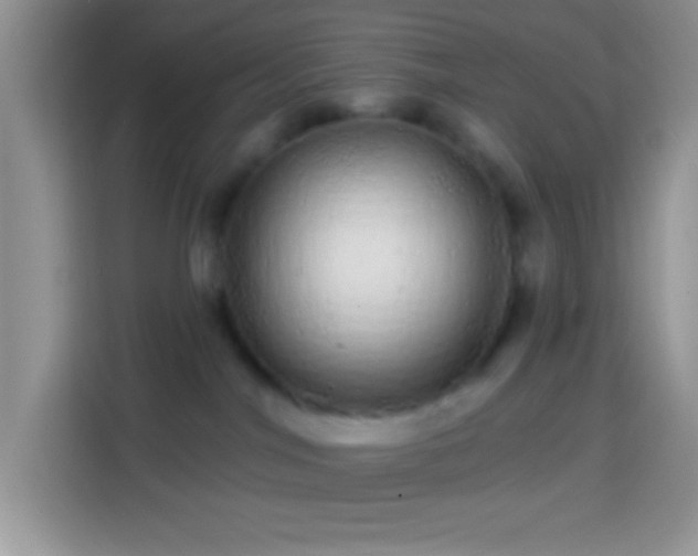 X0000113860044200910011030
