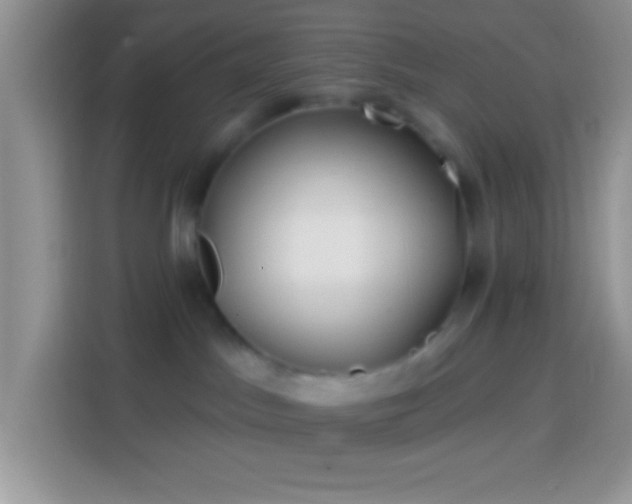 X0000113860045200910011030