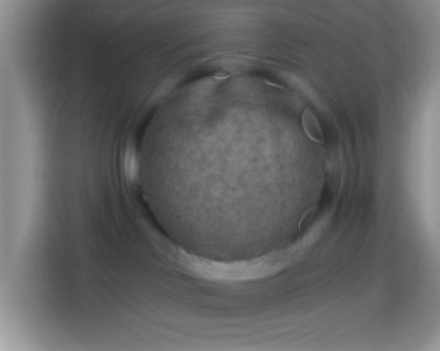 X0000113860046200910011030