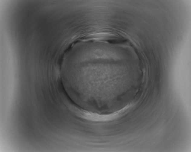 X0000113860048200910011030