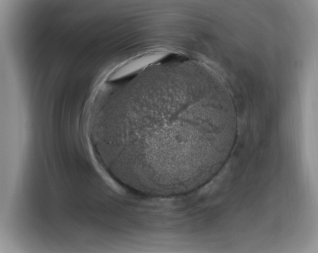 X0000113860049200910011029