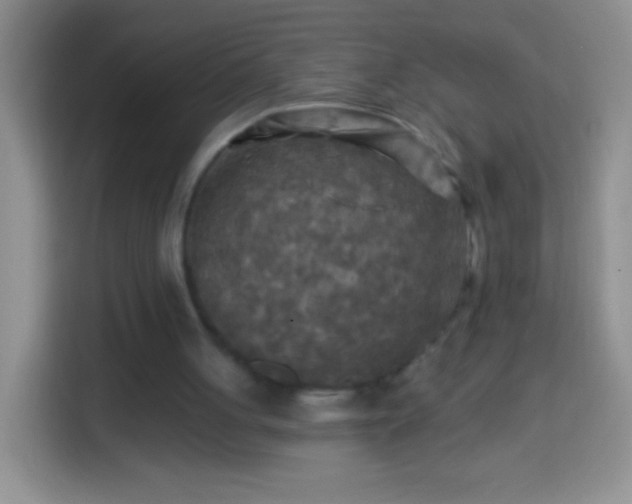 X0000113860051200910011029