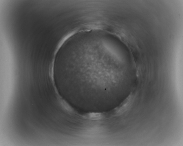 X0000113860052200910011029