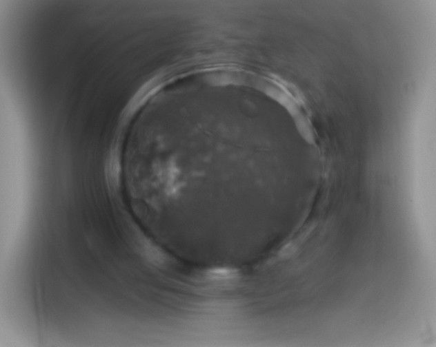 X0000113860053200910011029