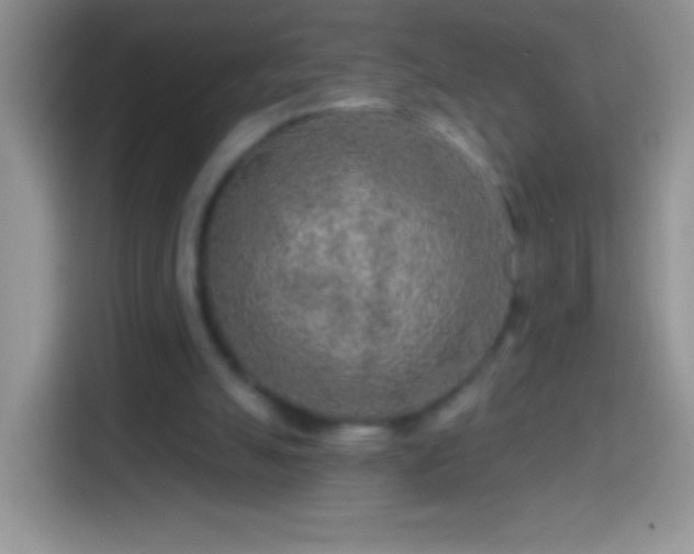 X0000113860055200910011029