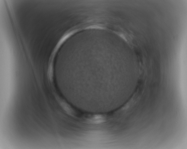 X0000113860056200910011029