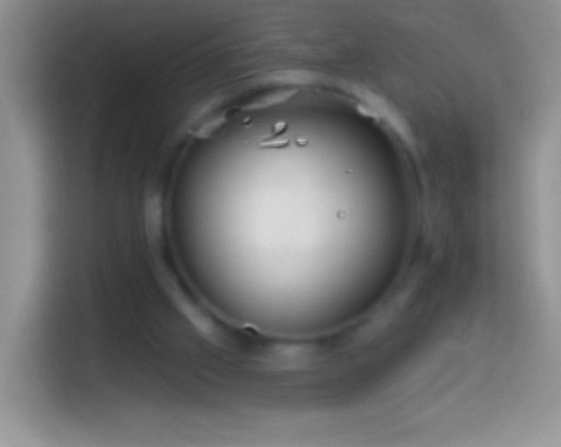 X0000113860057200910011029