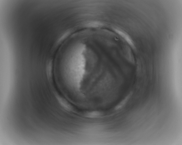 X0000113860058200910011029