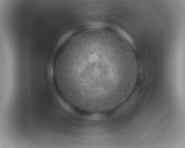 X0000113860059200910011029