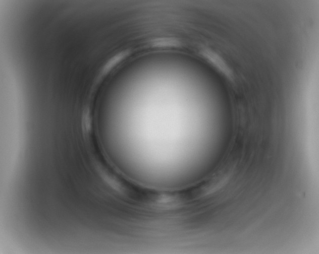 X0000113860060200910011029
